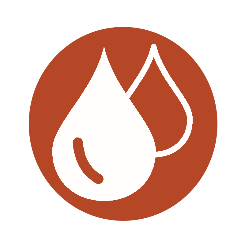 Absorbent Icon